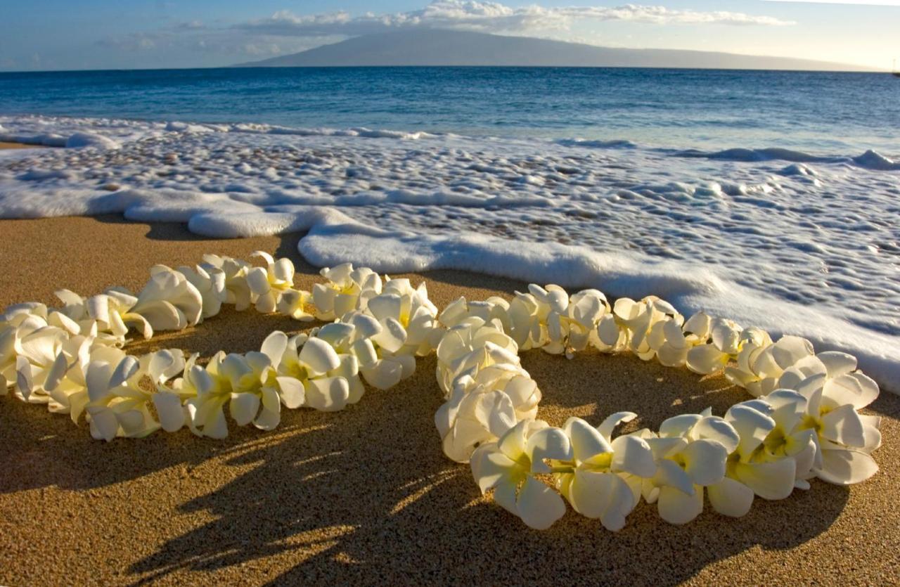 Mountain View Getaway, Free Parking And Beach Steps Away Honolulu Zewnętrze zdjęcie