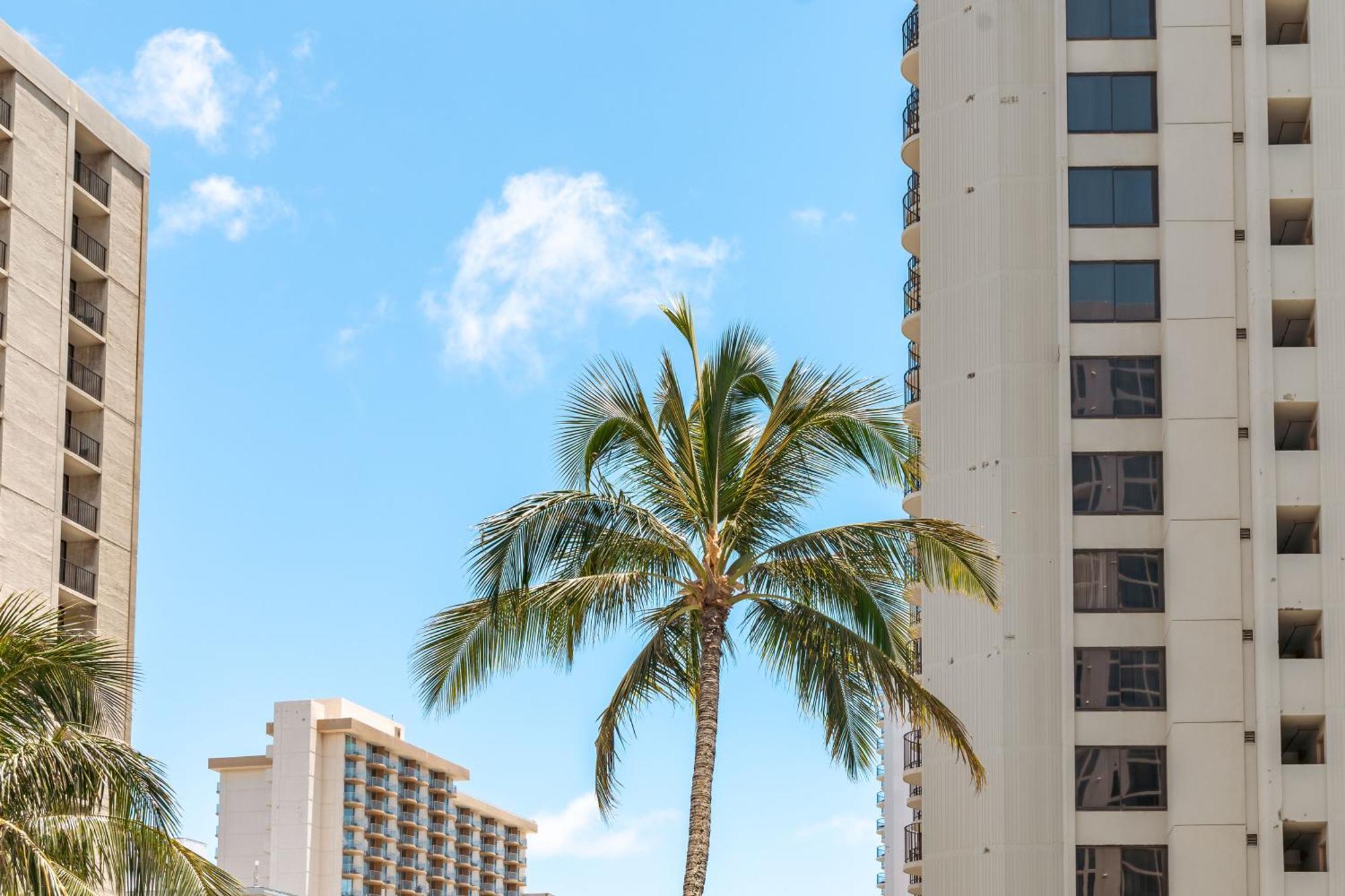 Mountain View Getaway, Free Parking And Beach Steps Away Honolulu Zewnętrze zdjęcie